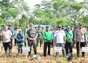 Dandim 0822 Bondowoso Letkol Arm Suhendra Chipta M.Tr., Hanla., memimpin langsung kegiatan Penanaman Jagung.