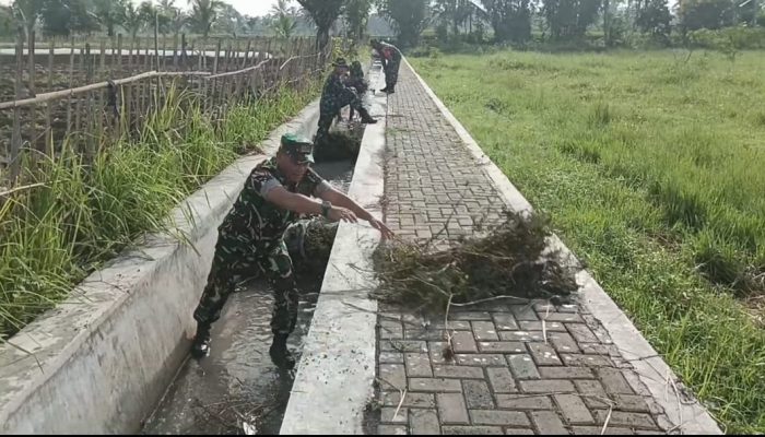 Antisipasi Luapan Air Babinsa Koramil 0822/09 Pujer Gotong Royong Bersihkan Saluran Irigasi Dan Jalan