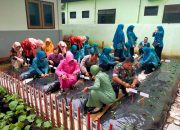 Danposramil Botolinggo Ajak Warga Tanam Cabe di Pekarangan Dan Lahan Kosong