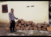 Polsek Klabang Amankan Puluhan Log Kayu Jati Hasil Illegal Logging