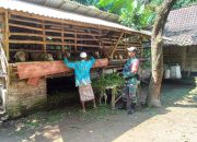 Sambangi Peternak Kambing: Babinsa Sampaikan Ini! 