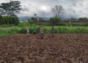 Sinergitas TNI dan Masyarakat Dalam Dukung Hanpangan, Babinsa Kodim 0822 Bondowoso Bantu Penyiapan Lahan