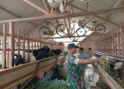 Pesan Serma Fachrizal: “Peternak Tetap Jaga Kebersihan”