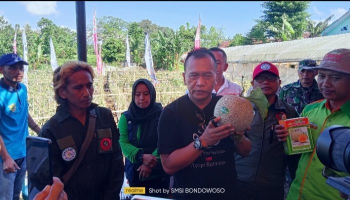 Petani di Bondowoso Meraup Penghasilan Jutaan Rupian Dari Hasil Panen Milon,Begini pesan Pj Bupati