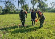 Tingkatkan Hasil Produksi, Sertu Johari Bantu Pemupukan Tanaman Jagung