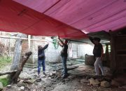 Polres Nganjuk Bongkar Tiga Lokasi Sekaligus Diduga Tempat Judi Sabung Ayam 