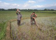 Babinsa Sertu Epi Tak Kenal Lelah, Tetap Berdedikasi di Hari Minggu