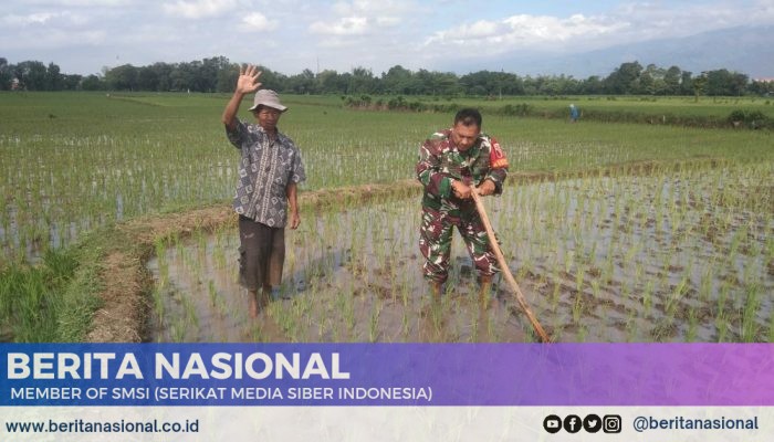 Babinsa Sertu Epi Tak Kenal Lelah, Tetap Berdedikasi di Hari Minggu