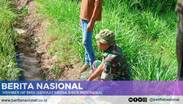 Pendampingan Pompanisasi Babinsa Kodim 0822/Koramil 08 Bondowoso Kepada Petani Binaan