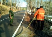 Tanggap Cepat Babinsa Koramil 0822-05 Bondowoso Bantu Padamkan Kebakaran Hutan Jati
