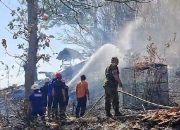 Aksi Sigap Babinsa 0822 Dan Damkar Dalam Kebakaran Hutan Jati di Arak-Arak Bondowoso