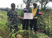 Babinsa Dampingi Survei Geolistrik, Pastikan Ketersediaan Air untuk Pertanian