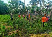 Hujan Deras dan Angin Kencang Terjang Desa Kajar, Babinsa Langsung Sigap di Lapangan