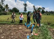 Tim Wasev Kodam V Brawijaya Tinjau Pompanisasi di Desa Taman, Dorong Produktivitas Pertanian Bondowoso