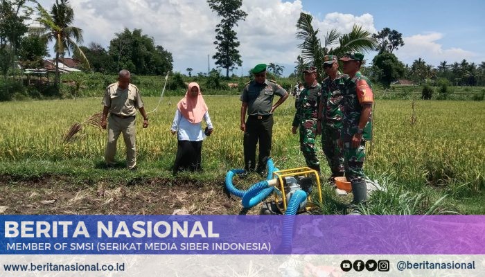 Tim Wasev Kodam V Brawijaya Tinjau Pompanisasi di Desa Taman, Dorong Produktivitas Pertanian Bondowoso