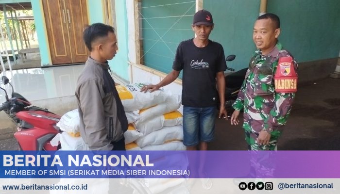 Pendampingan dan Penyerahan Bantuan Benih Jagung Pioner P40 di Desa Klekean Kec. Botolinggo