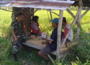 Babinsa Koramil 14 Prajekan Gelar Komsos untuk Meningkatkan Ketahanan Pangan di Desa Prajekan Kidul Kabupaten Bondowoso