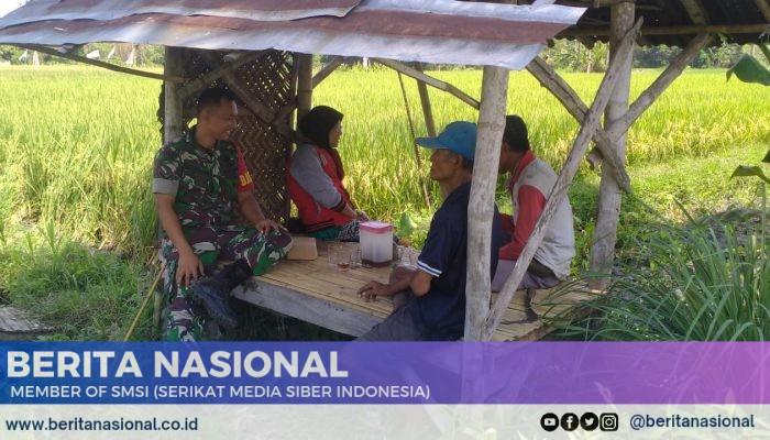 Babinsa Koramil 14 Prajekan Gelar Komsos untuk Meningkatkan Ketahanan Pangan di Desa Prajekan Kidul Kabupaten Bondowoso