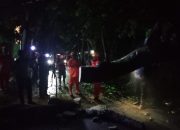 Babinsa Sigap Atasi Akses jalan Terhalang Pohon Tumbang di Desa Tamanan Bondowoso 