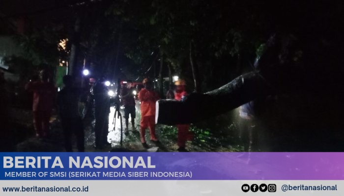 Babinsa Sigap Atasi Akses jalan Terhalang Pohon Tumbang di Desa Tamanan Bondowoso 