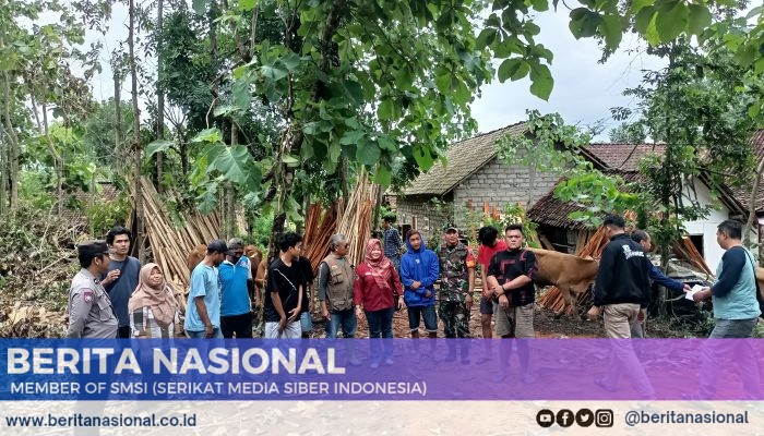 Bantuan 10 Ekor Sapi Tiba di Desa Selolembu, Babinsa Sertu M. Fauzi Lakukan Pendampingan