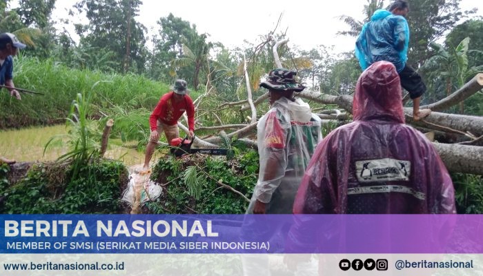 Akses Jalan Tertutup Akibat Pohon Tumbang, Babinsa Pimpin Penanganan Cepat