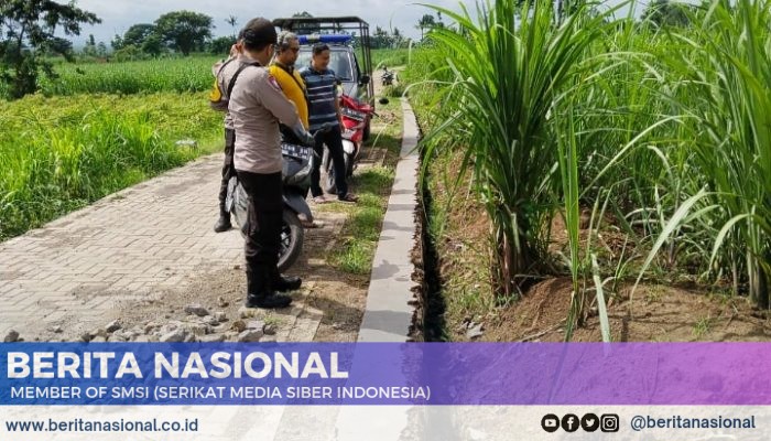 Pembangunan Bahu Jalan Dari Dana Desa (DD) di Bondowoso,Mengalami Kerusakan Akibat Ulah Oknum Tidak Bertanggung Jawab