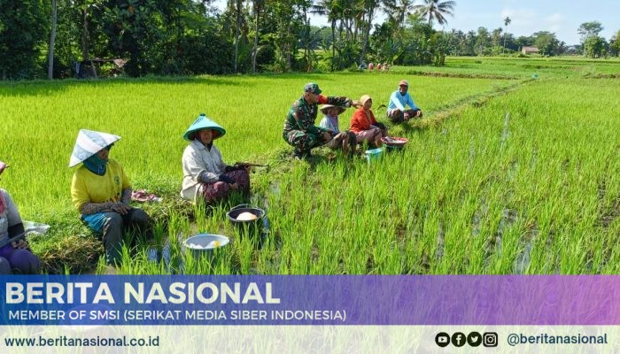 Babinsa Desa Kajar Lakukan Komsos dengan Buruh Tani untuk Perkuat Kemitraan