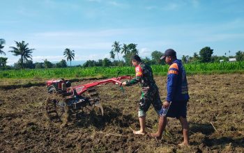 Babinsa Serda Deny Wahyudi Bantu Petani dengan Pembajakan Sawah di Penang