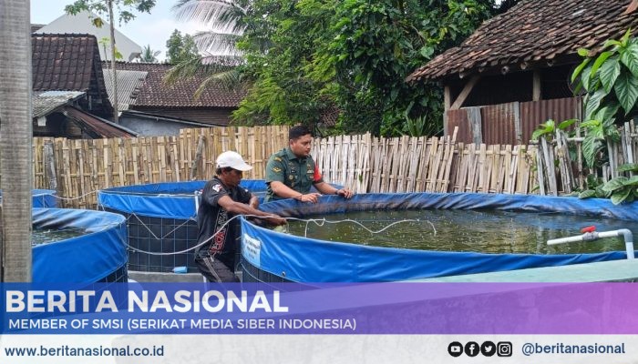 Pendampingan Budidaya Ikan Lele oleh Babinsa 0822 di Desa Bataan, Tenggarang, Bondowoso