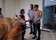 Kapolres Bondowoso Serahkan kembali Tiga Ekor Sapi Milik Warga yang telah di curi