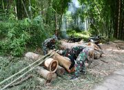 Satgas TMMD 123 Kodim Bondowoso Angkut Kayu Balok