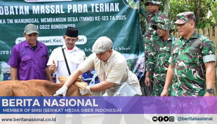 TMMD 123 Kodim 0822 Bondowoso Tingkatkan Kesehatan Ternak di Desa Gunosari
