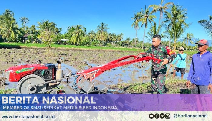 Babinsa Serda Deny Bantu Bajak Sawah Warga Botolinggo, Dukung Ketahanan Pangan Nasional Meski Hari Libur