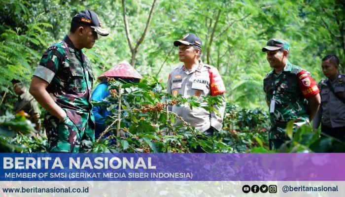 Dandim 0822 Bondowoso Dampingi Pangdam V/Brawijaya dan Kapolda Jatim di Lokasi Panen Raya Kopi Bersama Wapres RI