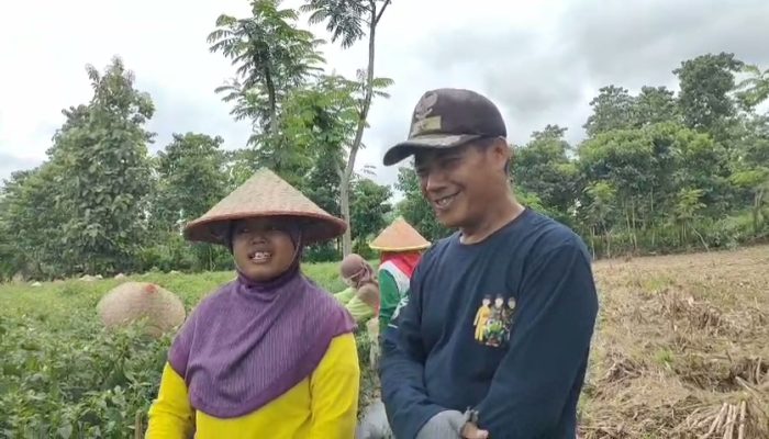 Kepala Desa Sumber Kokap Lakukan Pendekatan kepada Petani untuk Tingkatkan Kesejahteraan