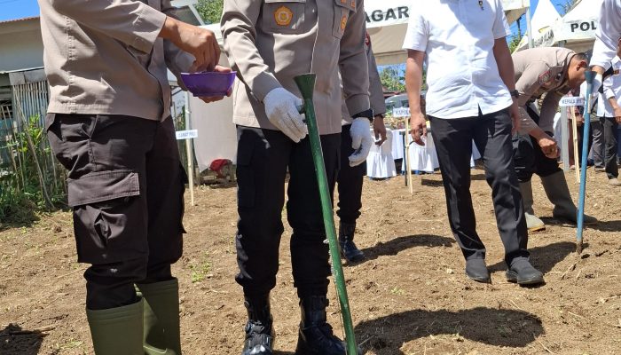 Kapolres Pagar Alam Pimpin langsung Penanaman raya Jagung Bersama Forkopimda
