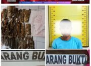 Polsek Pagaralam Utara Amankan Pencuri Kulit Kayu Manis Milik Warga