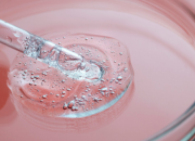 purityfic collagen complex