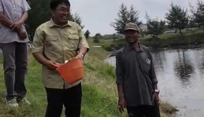 BUMDes Karya Mulya Sluke Mengembangkan Potensi Lokal Dengan Budidaya Ikan Bandeng