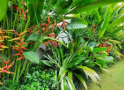 10 Pilihan Tanaman yang Umum Digunakan Pada Taman