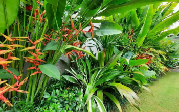 Pilihan Tanaman Yang Umum Digunakan Pada Taman