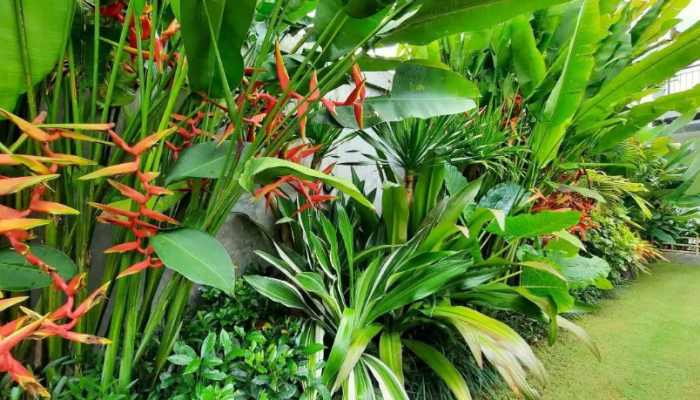 10 Pilihan Tanaman yang Umum Digunakan Pada Taman