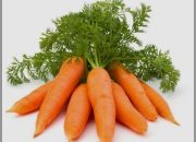 Manis dan Renyah, Wortel Simpan Segudang Manfaat untuk Kesehatan Tubuh