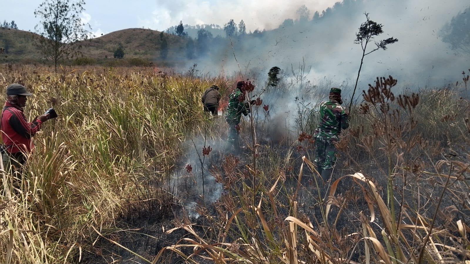 Gerak Cepat TNI dan Perhutani Jinakkan Kebakaran di Petak 87 Kawasan Ijen Bondowoso